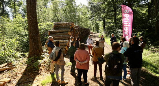 Le sentier pédagogique autour des vestiges du camp retranché de Paris sur le site des Tailles d’Herbelay à Aigremont. © Nicolas DUPREY/ CD 78