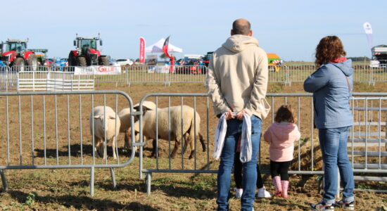 Le Festival de la Terre a eu lieu le week-end du 14 septembre. © CD78/M.CORREIA