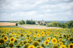 Les Yvelines "Département fleuri" pour la 3ème fois