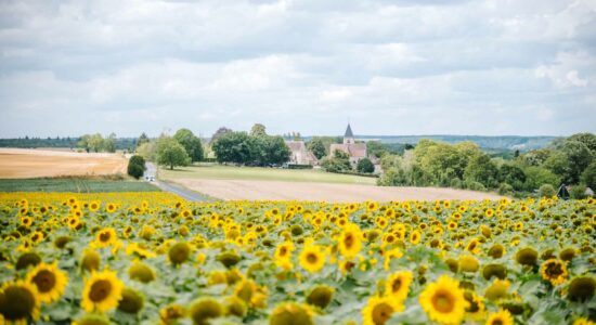 Les Yvelines "Département fleuri" pour la 3ème fois