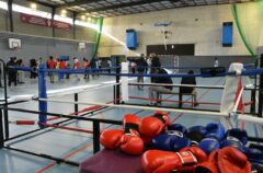 Match ton avenir : sport (boxe) pivot de l'orientation et de l'insertion