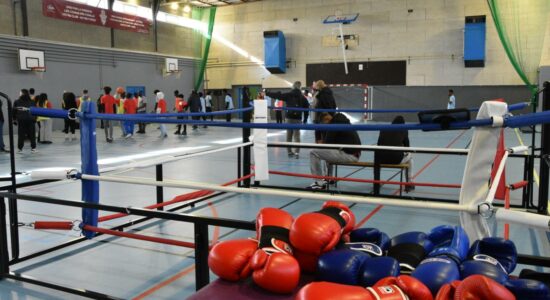 Match ton avenir : sport (boxe) pivot de l'orientation et de l'insertion