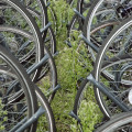Des places pour les vélos à la mairie